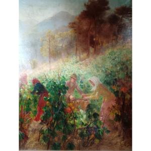 Laurent Gsell "harvests In Provence"
