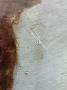 1617659-alb-68cbff8cb2652.jpg