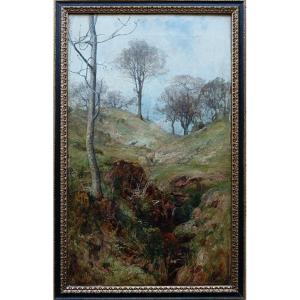 Ecole écossaise "un petit moment de printemps en Ecosse"