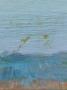 1748931-alb-69ecc1976d269.jpg