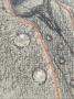 1823352-alb-6aabf0aa3cd75.jpg