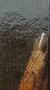 1839606-alb-6ad2290b8db9f.jpg