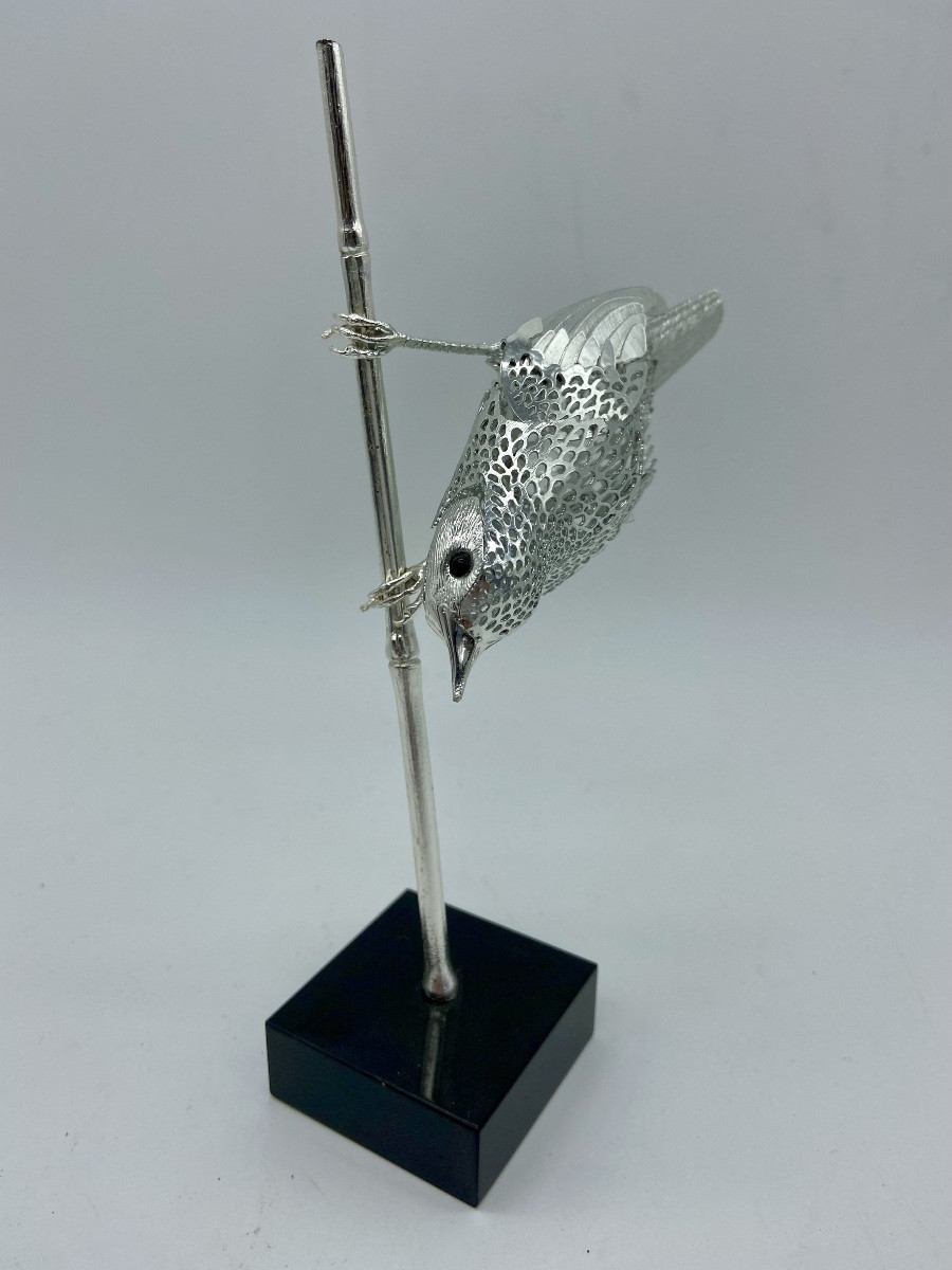 Oiseau Rousserolle Christofle.-photo-2
