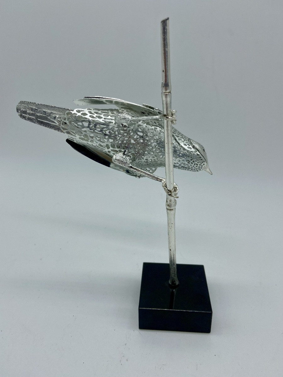 Oiseau Rousserolle Christofle.-photo-3