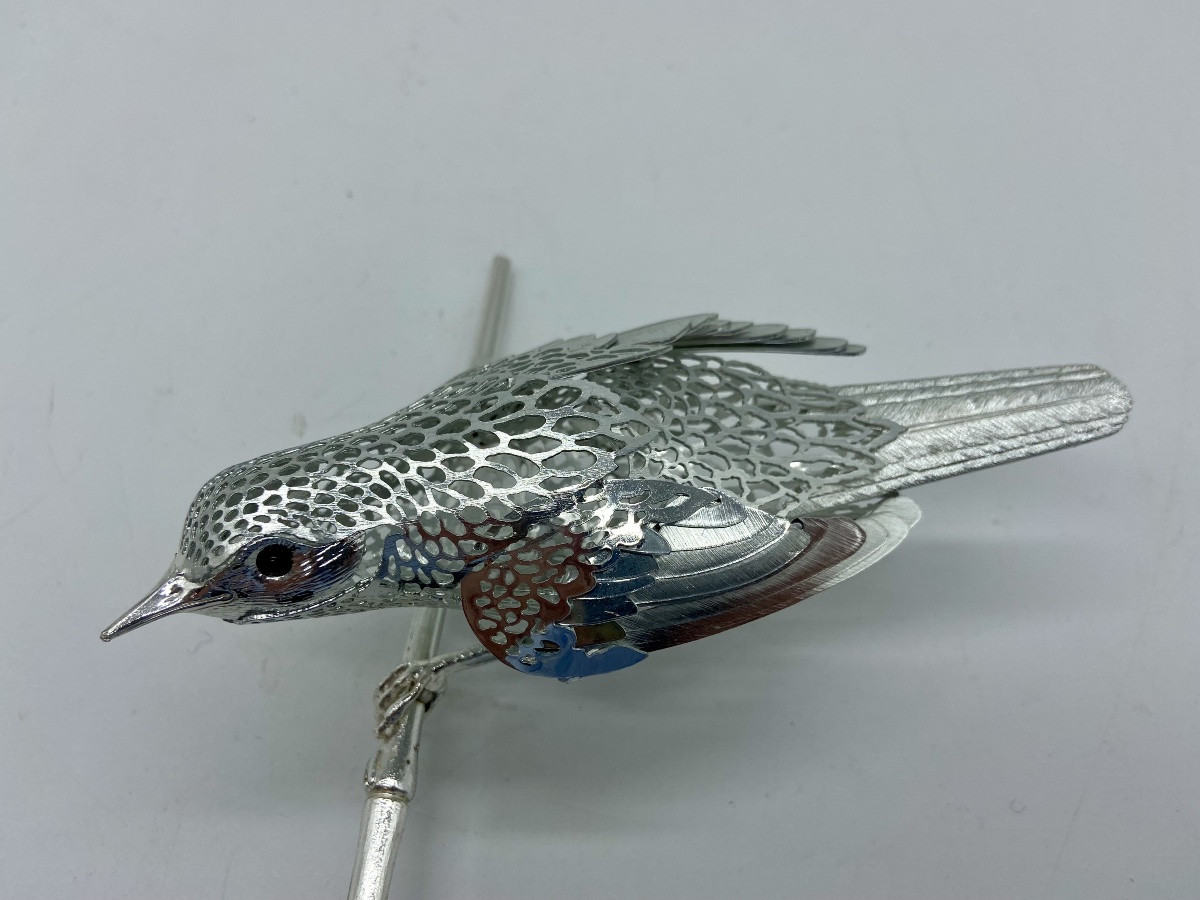 Oiseau Rousserolle Christofle.-photo-4