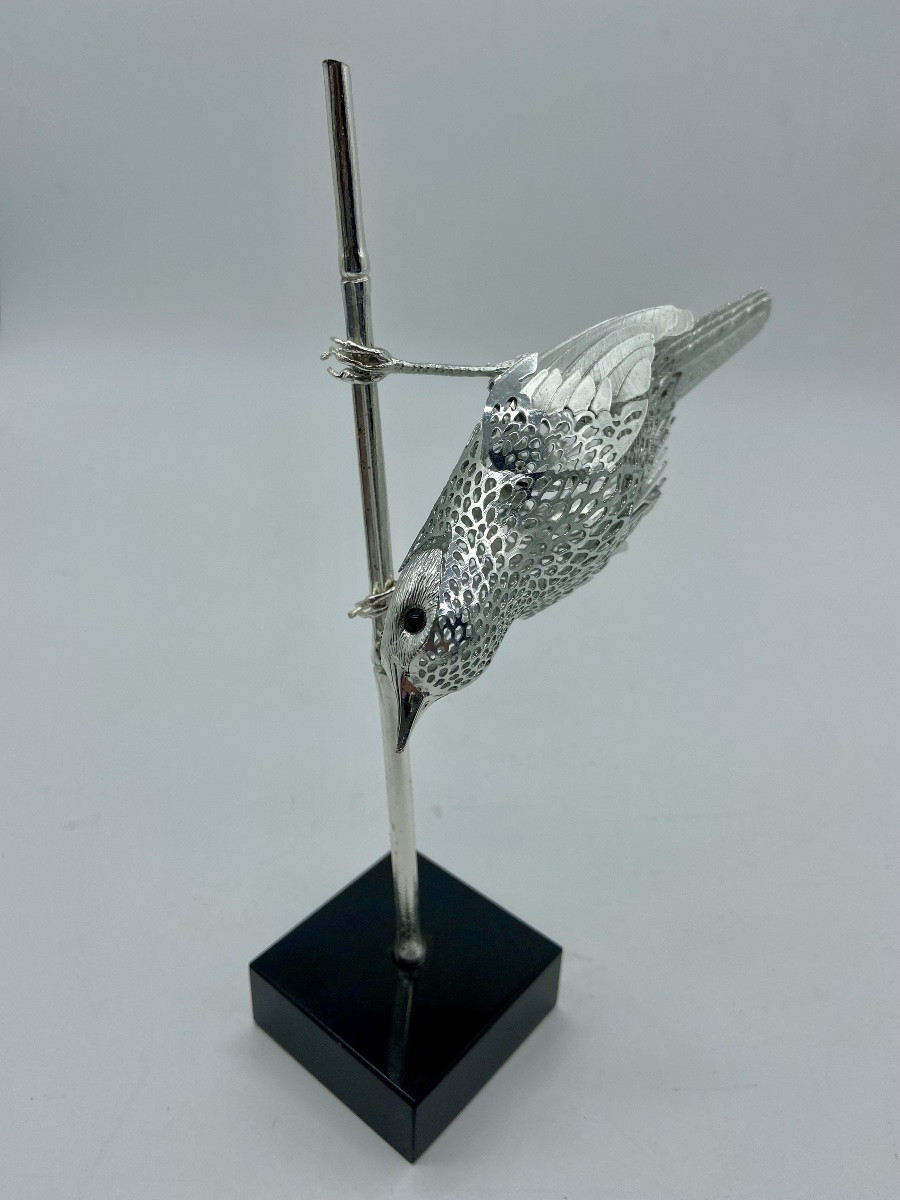 Oiseau Rousserolle Christofle.-photo-3