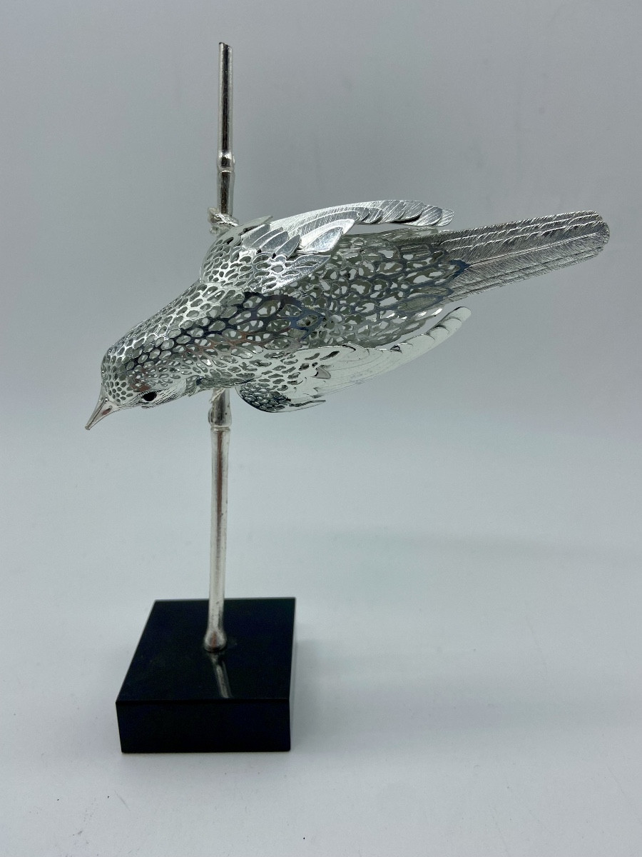 Oiseau Rousserolle Christofle.