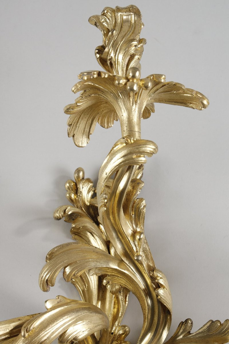 Rare Set Of Four Large Gilt Bronze Wall Lights From The Louis XV Period-photo-6