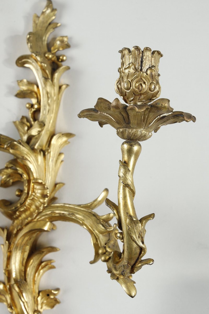 Paire d’appliques Louis XV au C couronné-photo-3
