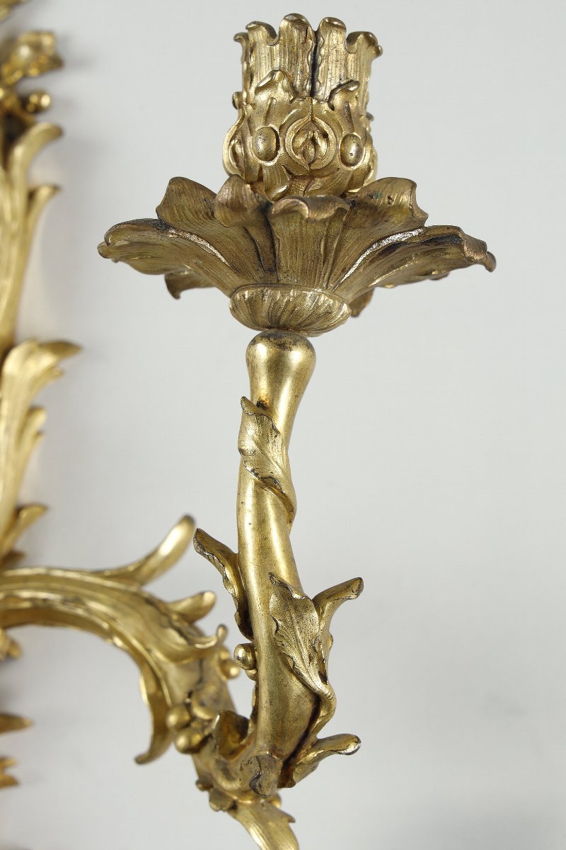 Paire d’appliques Louis XV au C couronné-photo-4