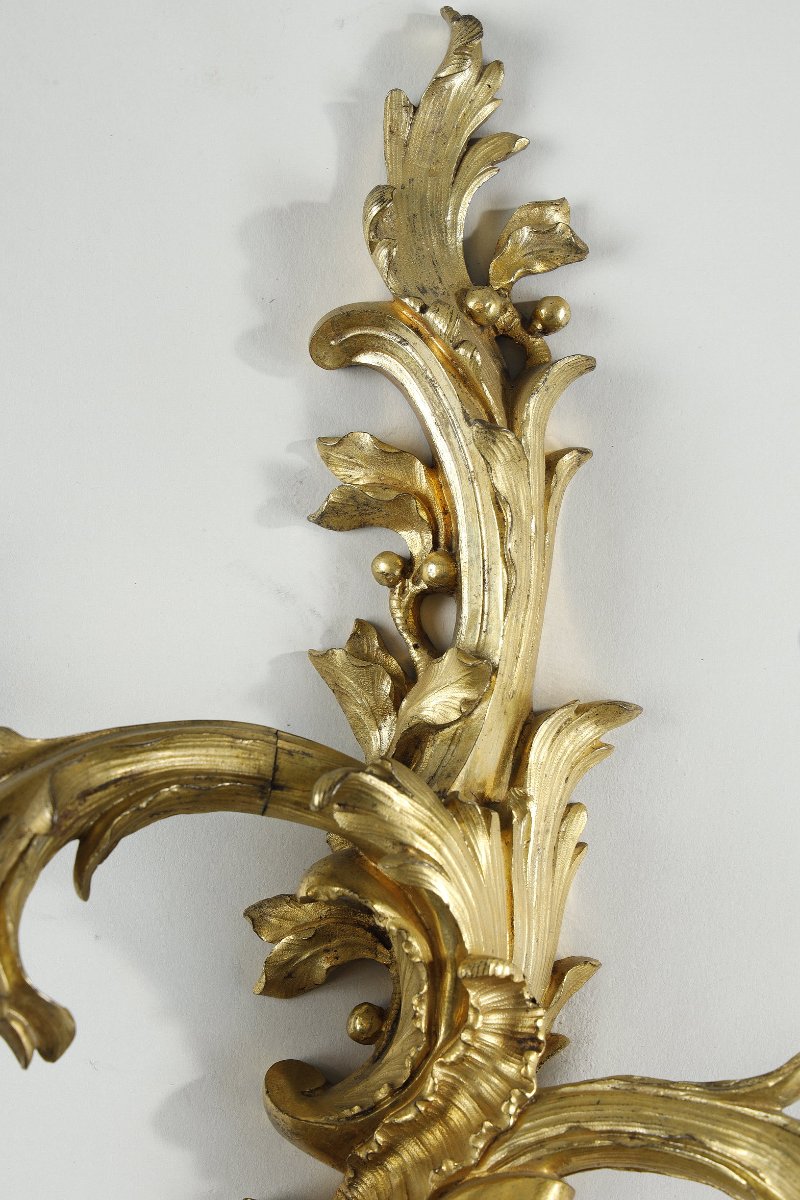 Paire d’appliques Louis XV au C couronné-photo-6