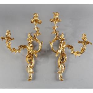 Large Pair Of Louis XV Period Gilt Bronze Sconces