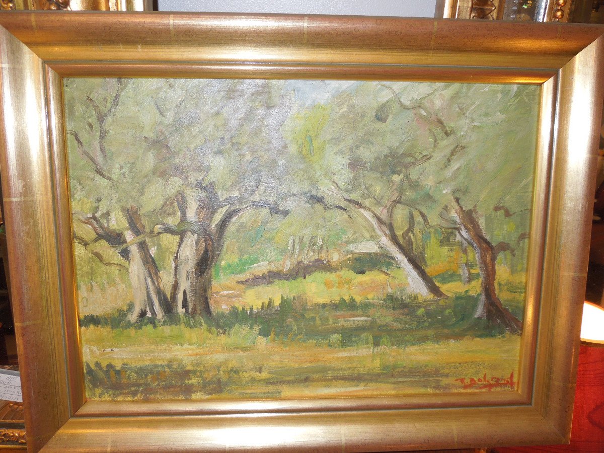 "the Park Of The Tete d'Or In Lyon" Signed Robert Belgrand Lyonnaise School