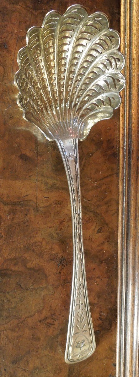 Spoon A Sprinkle Sterling Silver Germany 18 Eme-photo-4