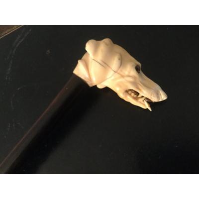 Important Cane Ivory Head Dog Head Glass Eyes In Rosewood