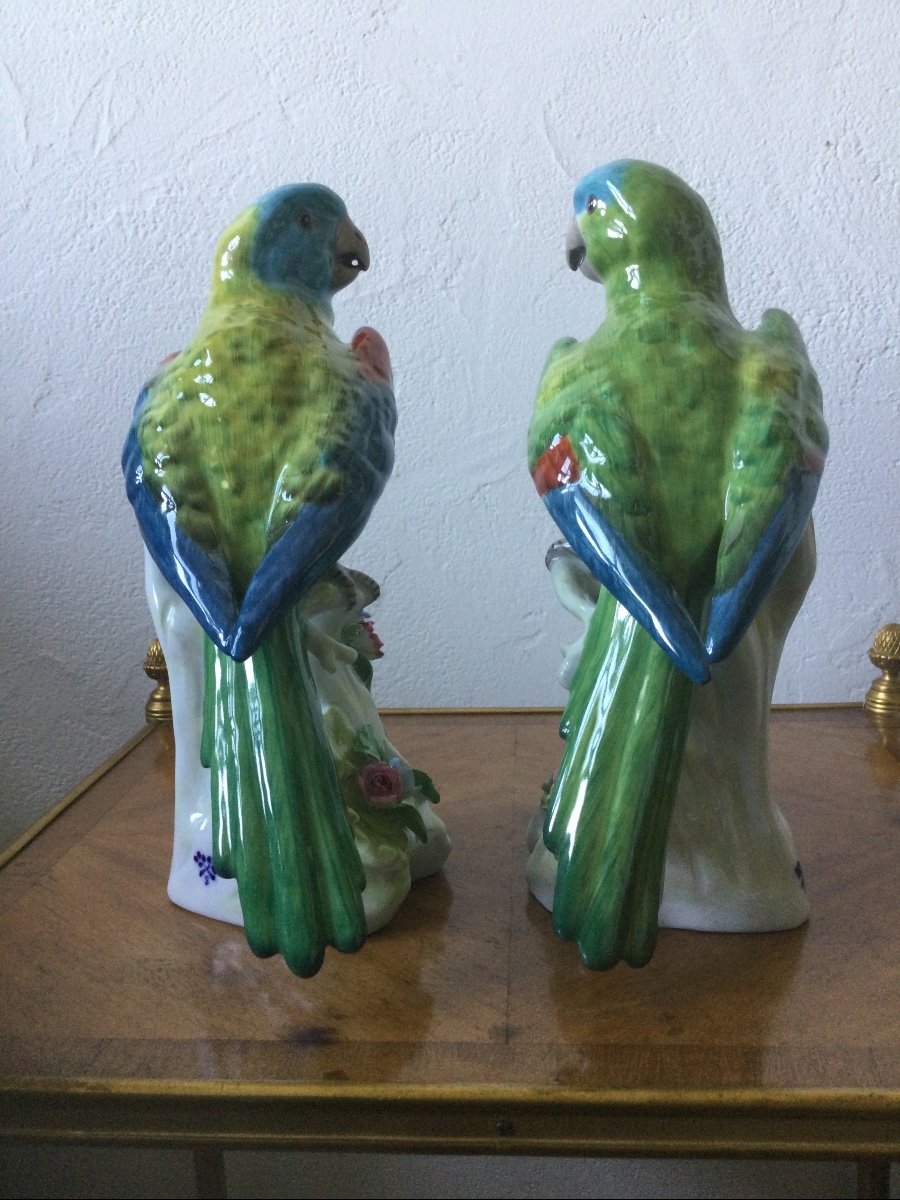 Pair Of Porcelain Parrots-photo-4