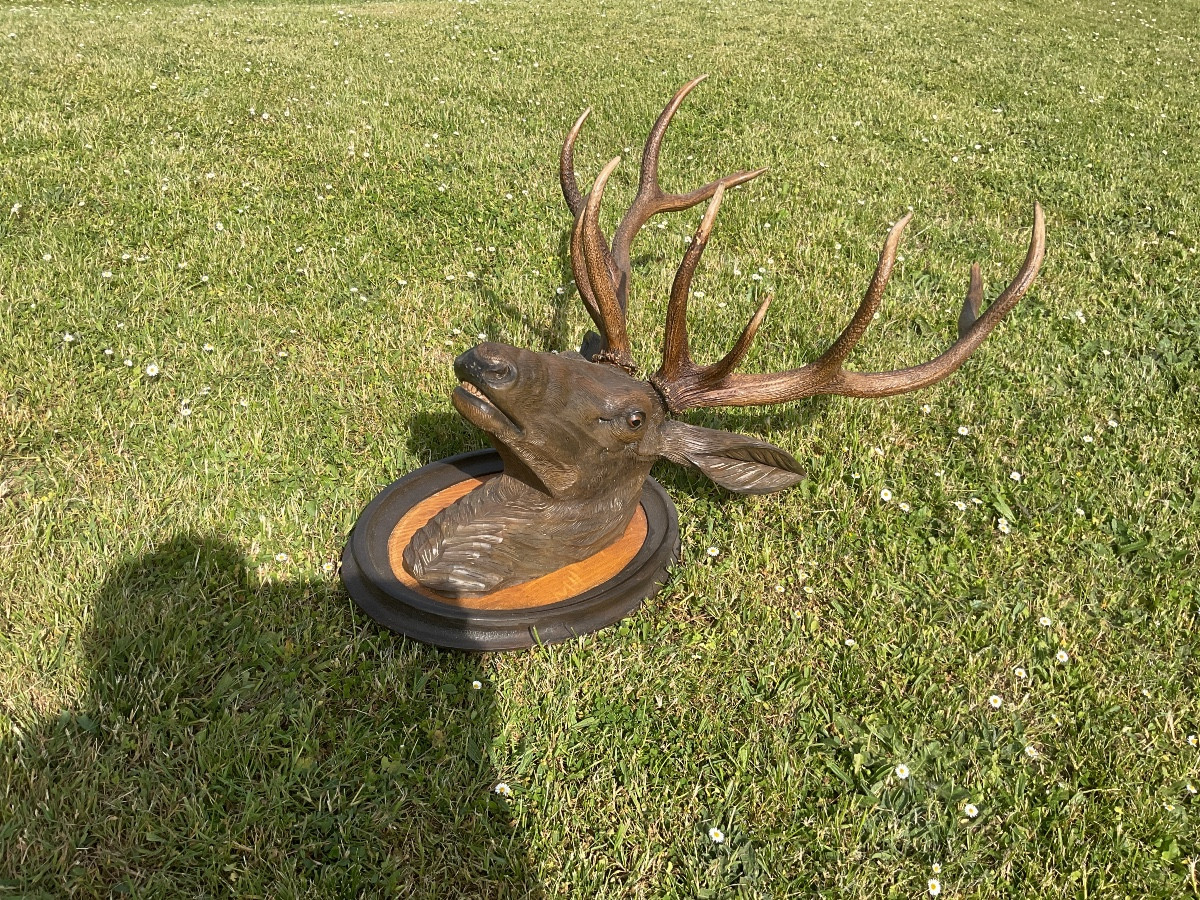 Deer Head Trophy In Carved Wood And Natural Deer Antler -photo-2