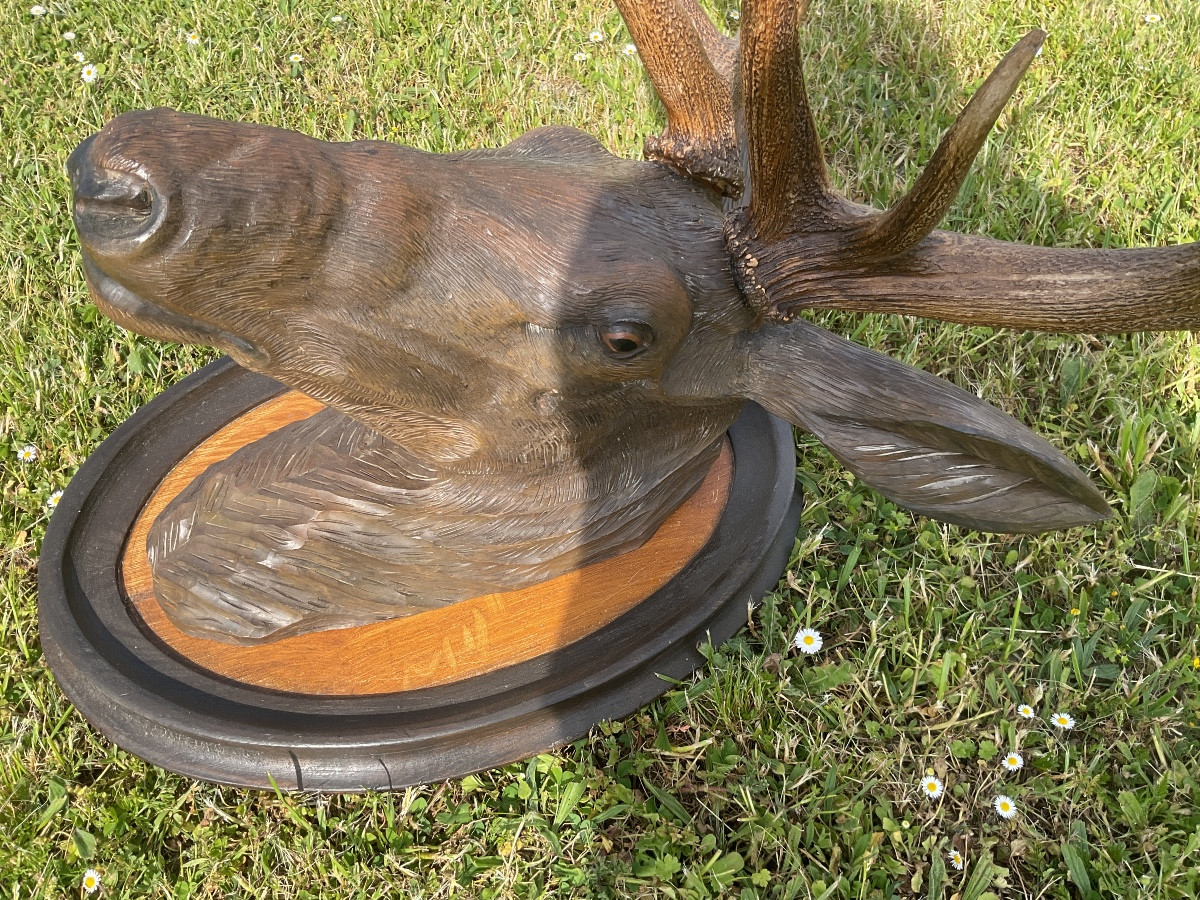 Deer Head Trophy In Carved Wood And Natural Deer Antler -photo-4