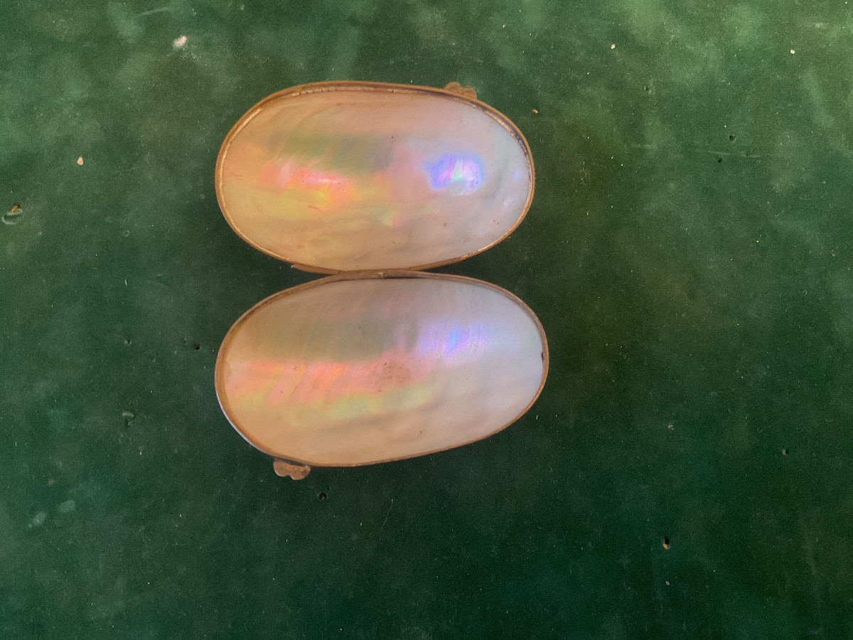 Boîte Œuf en nacre