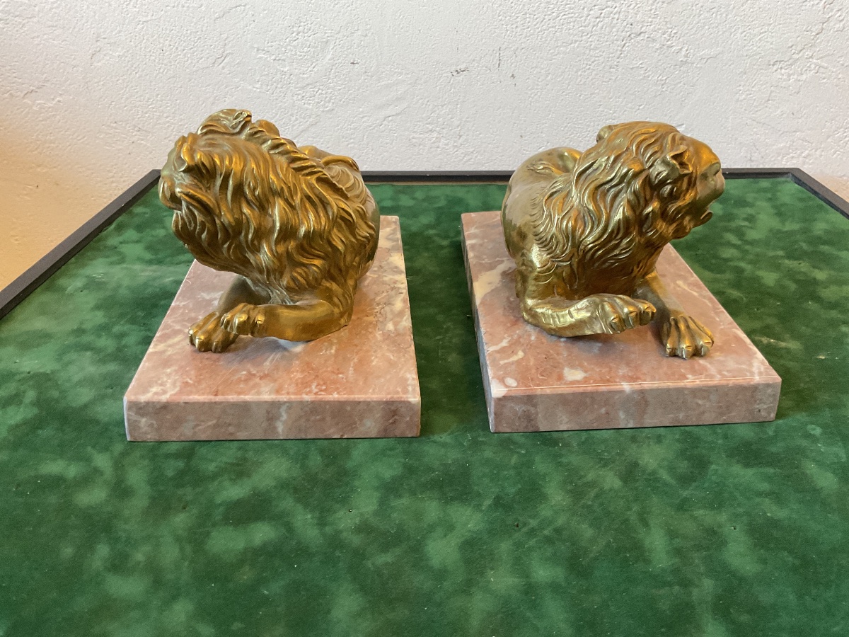 Paire de lions en bronze doré socle marbre -photo-3