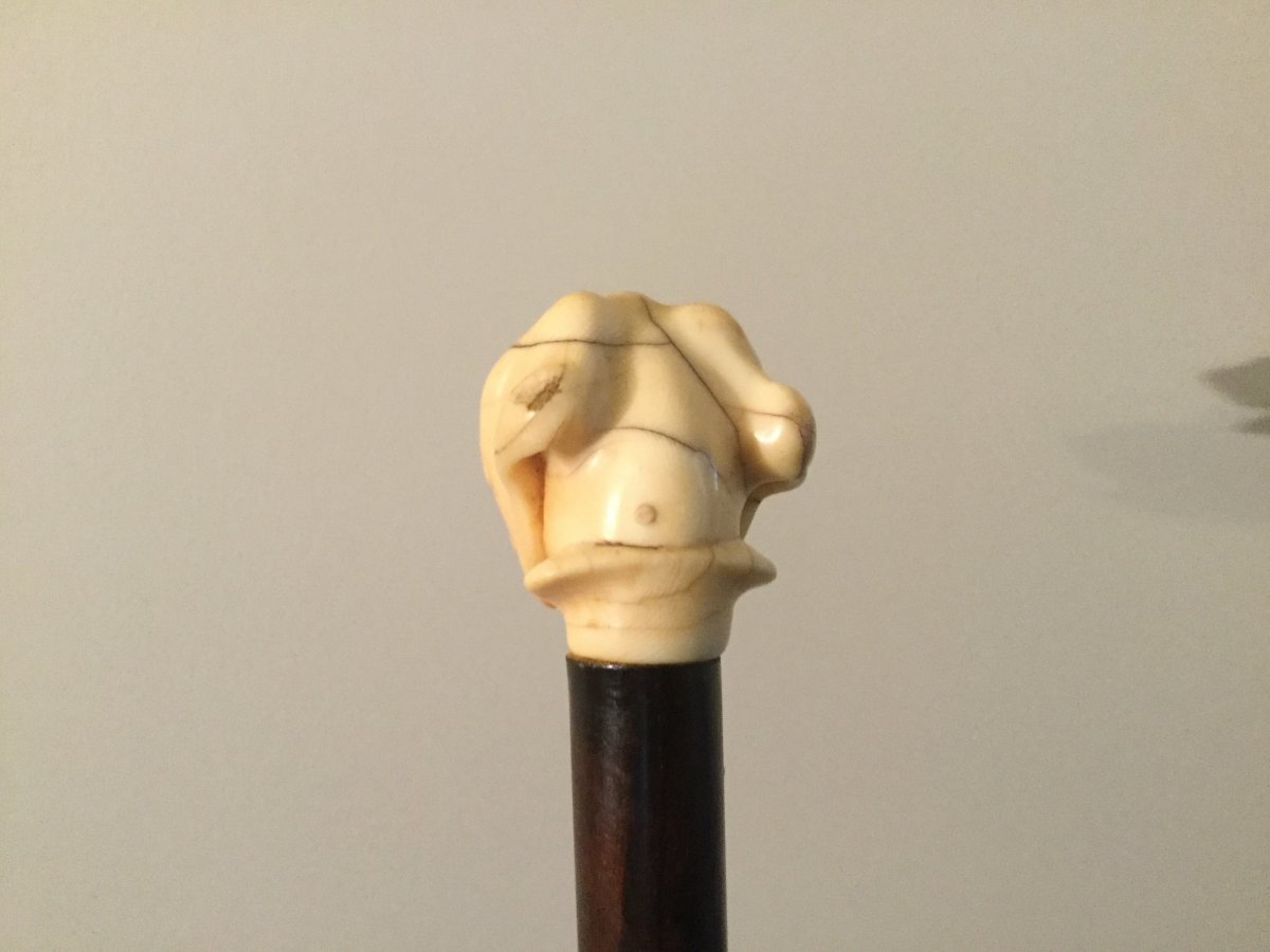 Important Cane Ivory Head Dog Head Glass Eyes In Rosewood-photo-1