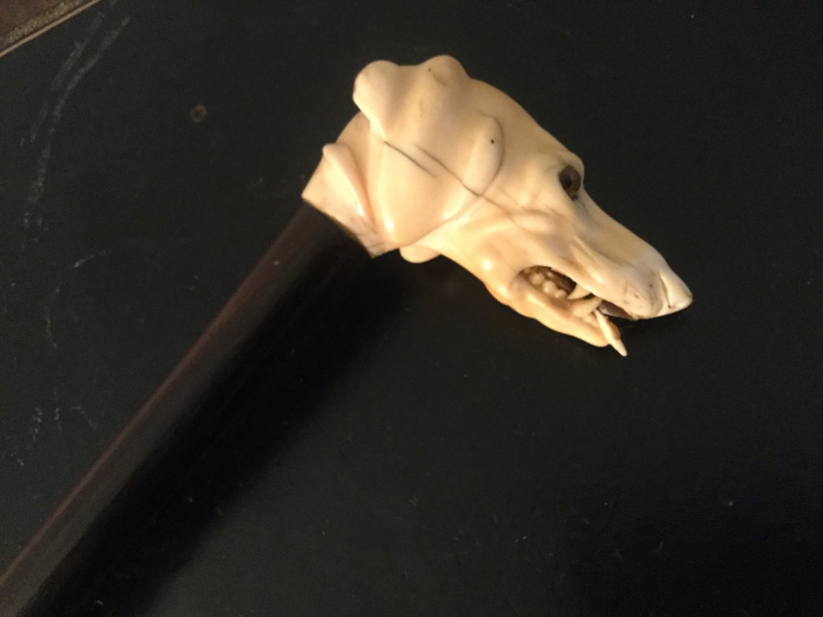 Important Cane Ivory Head Dog Head Glass Eyes In Rosewood