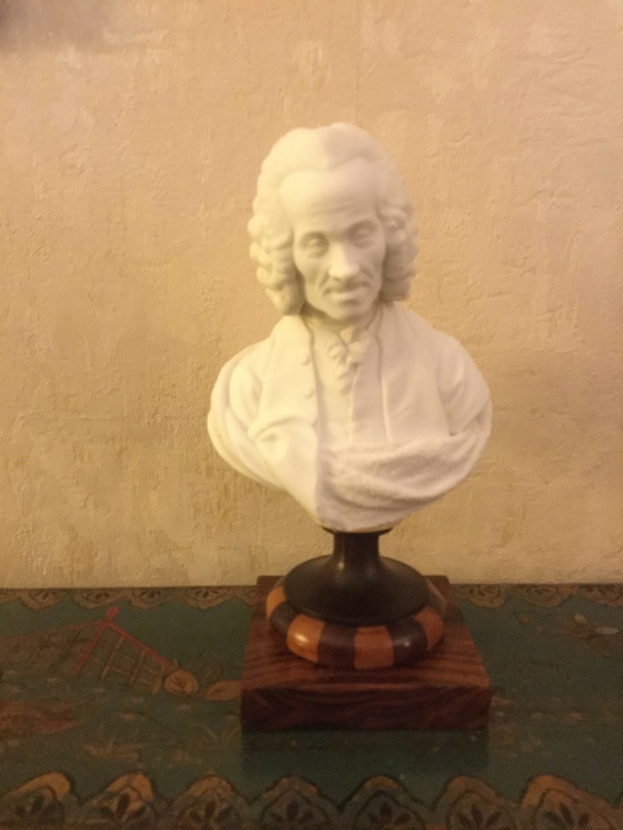 Bust Of Voltaire In Biscuit Rosewood And Light Wood Base Early XIXth Century
