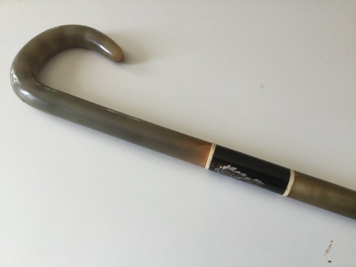 Rare Cane All In Horn XIXth Cochinchina Work-photo-3