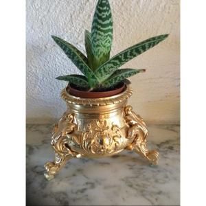 Cache Pot In Gilt Bronze