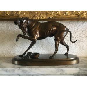 Bronze Greyhound Nineteenth Time Beautiful Bronze Patina