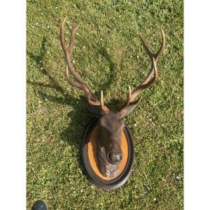 Trophée Tête De Cerf En Bois Sculpté Et Bois De Cerf Naturel 