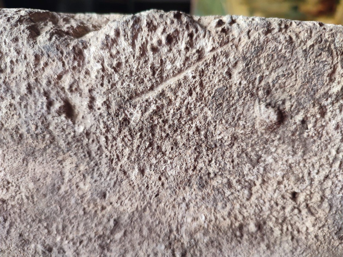 Templar Pluteus In Sandstone. 13th Century-photo-4