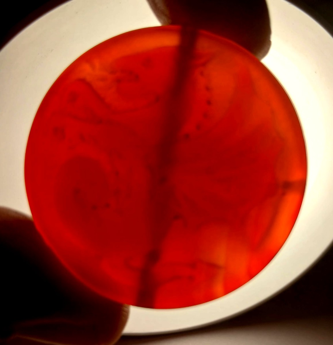 The Dragon And The Templar Cross. An Extremely Rare Medallion Carved In Carnelian.-photo-1
