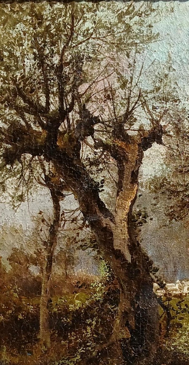Michele Catti 'L'arbre fendu' Huile sur toile 1880-90 cm.69x48 -photo-3