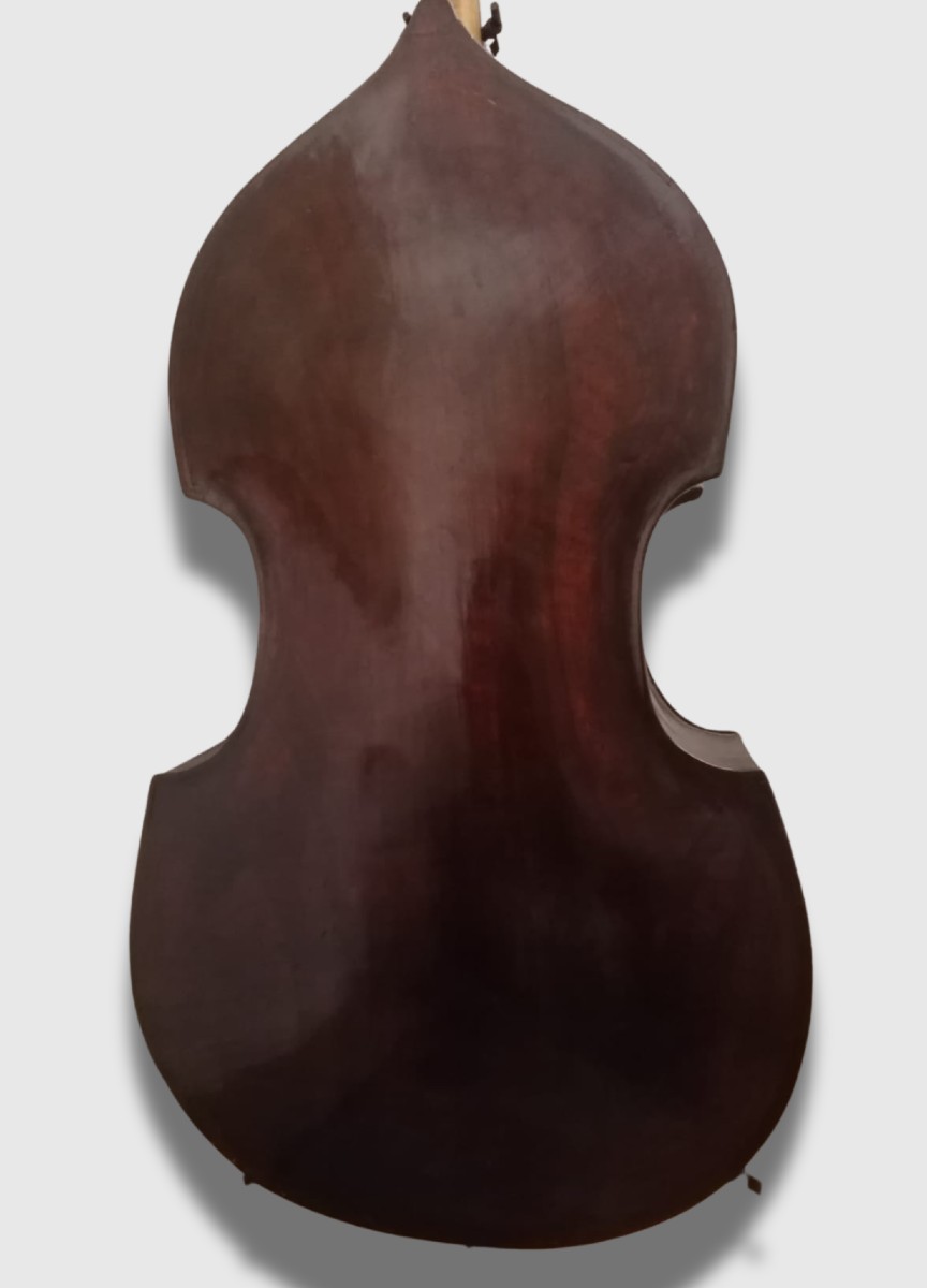 Contrebasse professionnelle de lutherie italienne (4/4)-photo-2