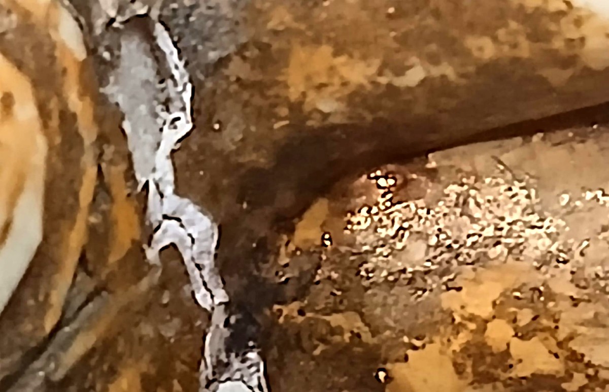  Canard en ivoire nettoyant les pinceaux, Dyn. Song, Chine, 907–1125-photo-2