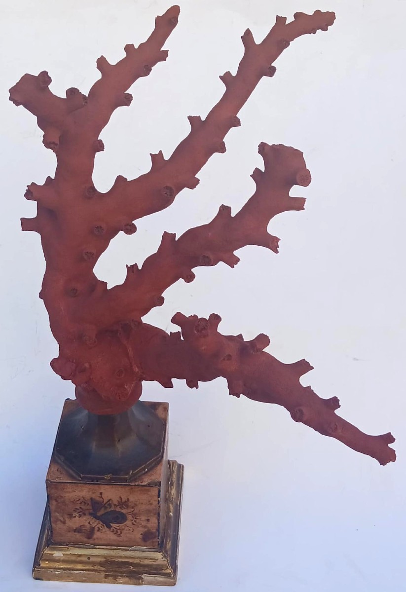 Large Branch Of Natural White Coral Painted Red On A Base Decorated With Butterflies-photo-2