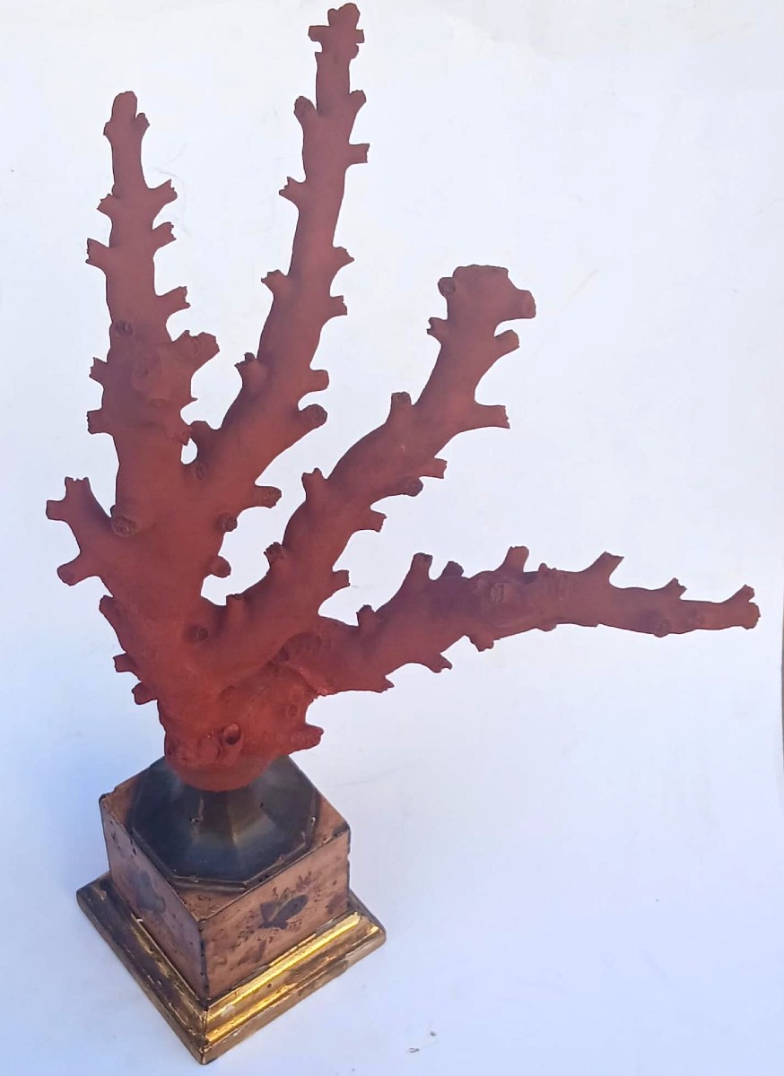 Large Branch Of Natural White Coral Painted Red On A Base Decorated With Butterflies-photo-1