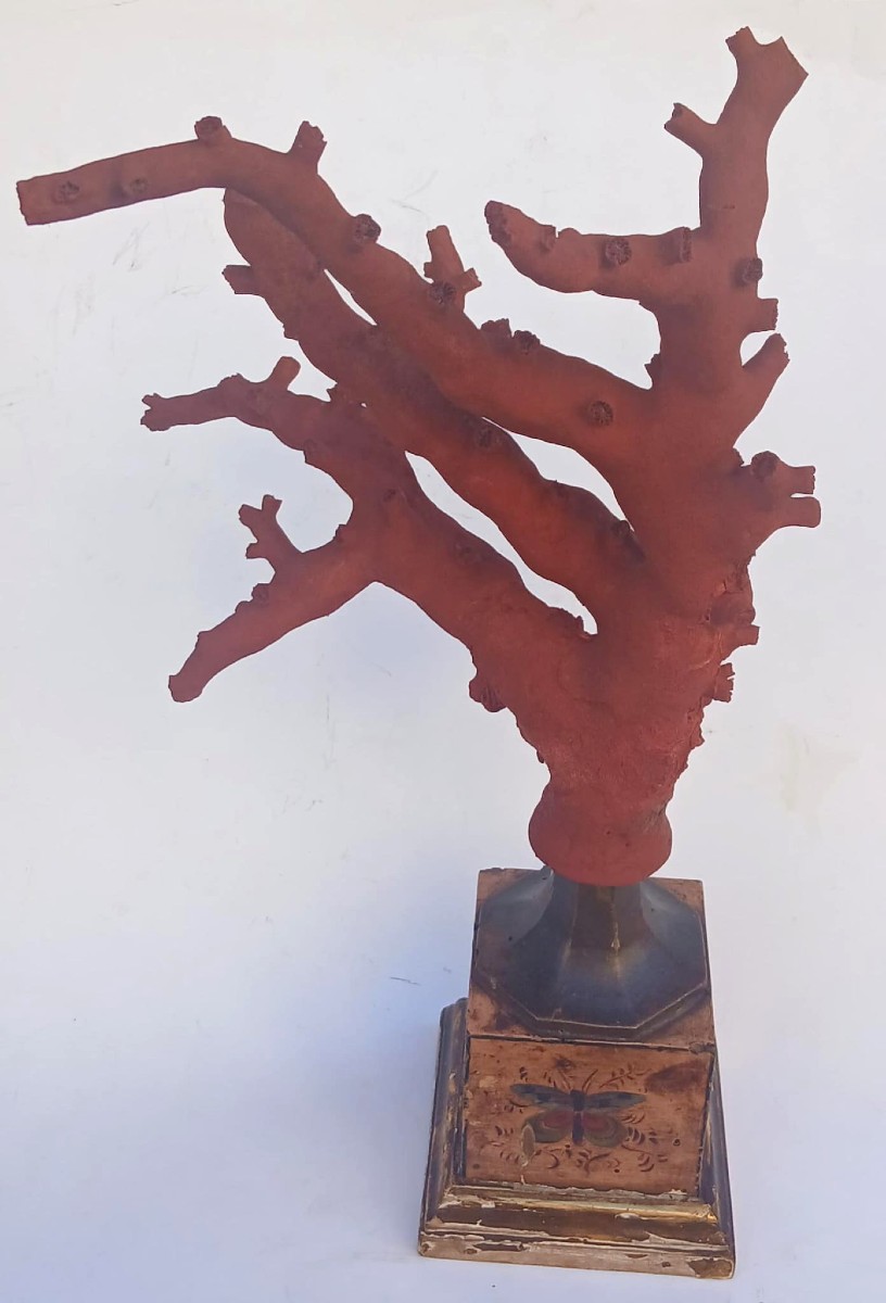 Large Branch Of Natural White Coral Painted Red On A Base Decorated With Butterflies-photo-2