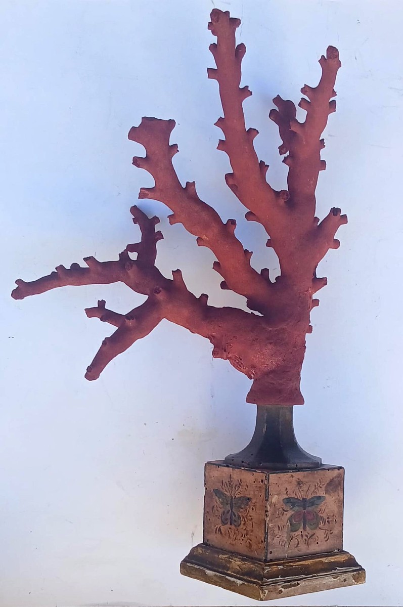 Large Branch Of Natural White Coral Painted Red On A Base Decorated With Butterflies