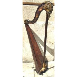 Premiere-Image-1710655