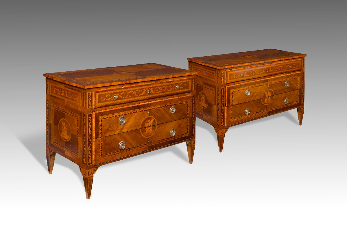Pair Of Neoclassical Chests Of Drawers, Lombardy, Late 18th Century-photo-2