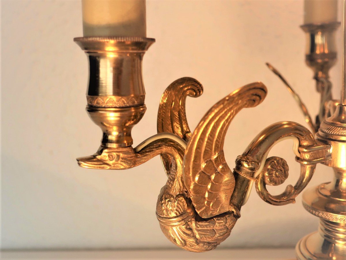 Large Hot Water Bottle Lamp Bronze Dore Nineteenth Swans Wings, 3 Arms Of Light, Sheet Lampshade-photo-7