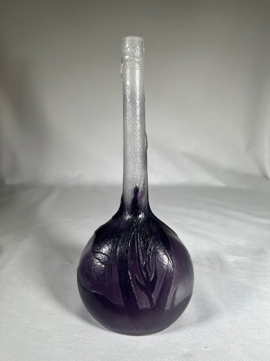 Vase émile Gallé à Décor D’iris Violet Poli Aux Feu, Art Nouveau -photo-1