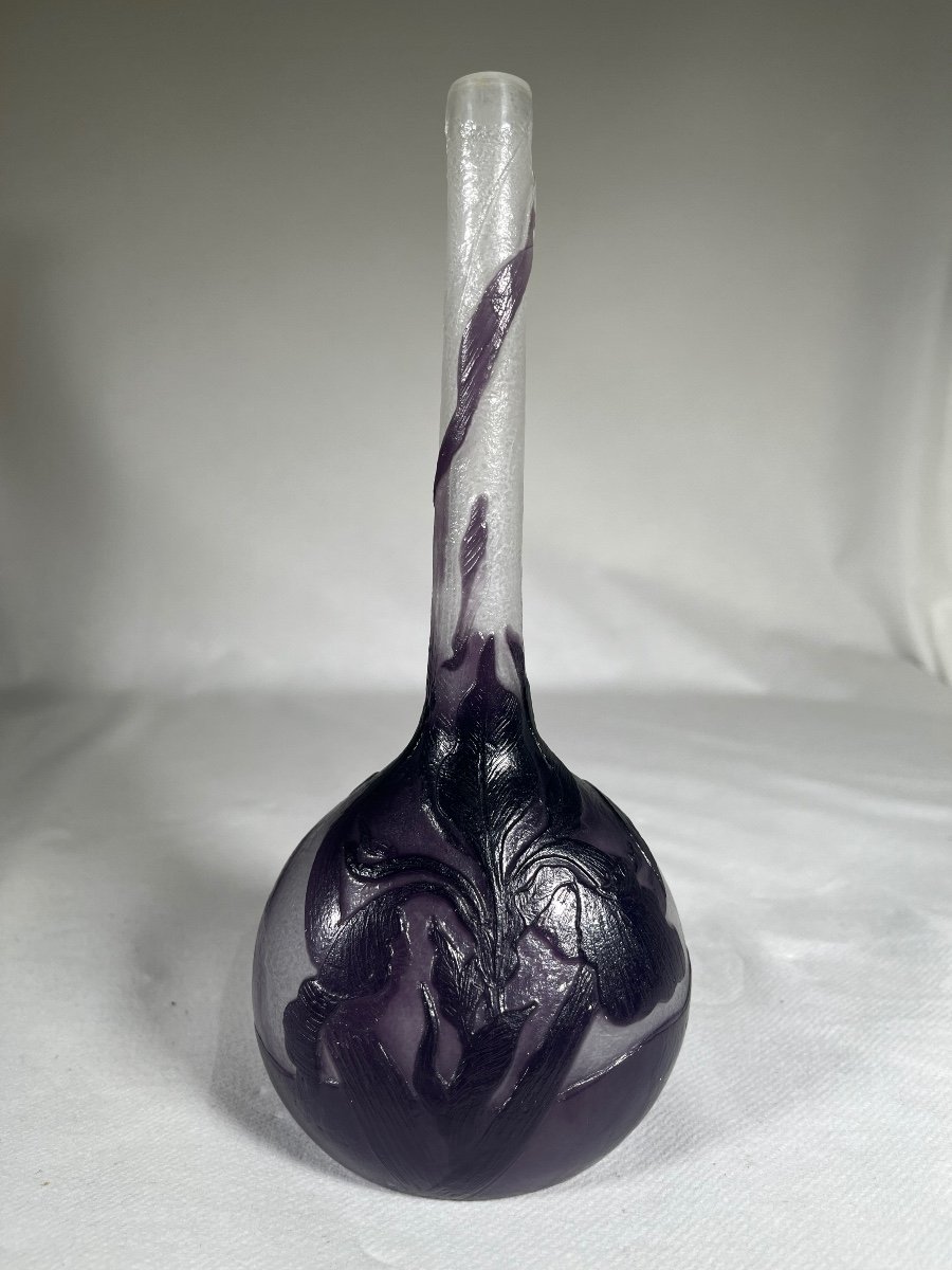 Vase émile Gallé à Décor D’iris Violet Poli Aux Feu, Art Nouveau 