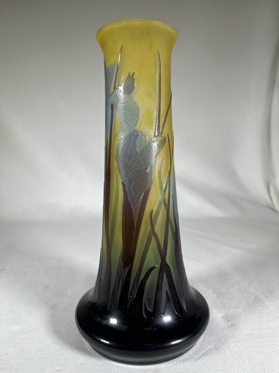 émile Gallé Vase Aux Iris Bleu, Art Nouveau-photo-1