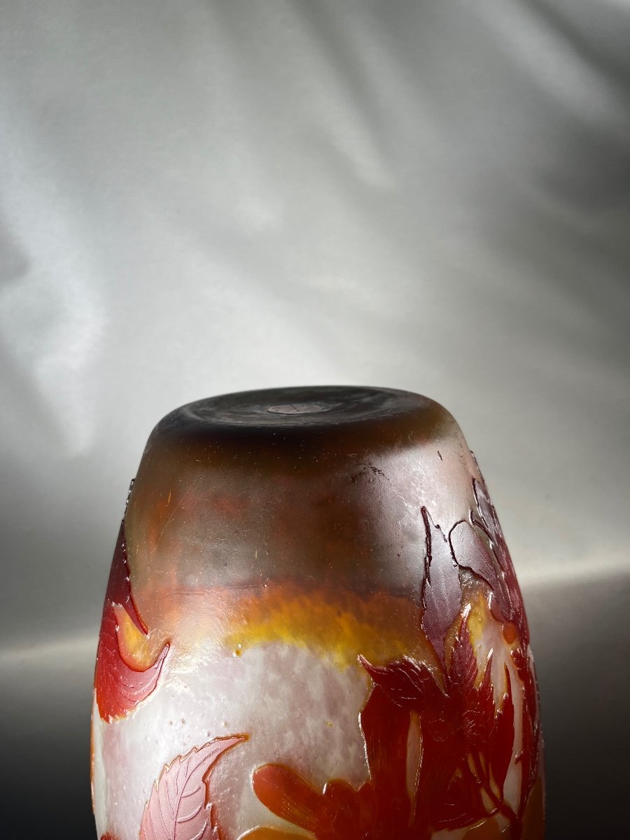 Large Muller Brothers Lunéville Vase (daturas), Gallé Period-photo-5