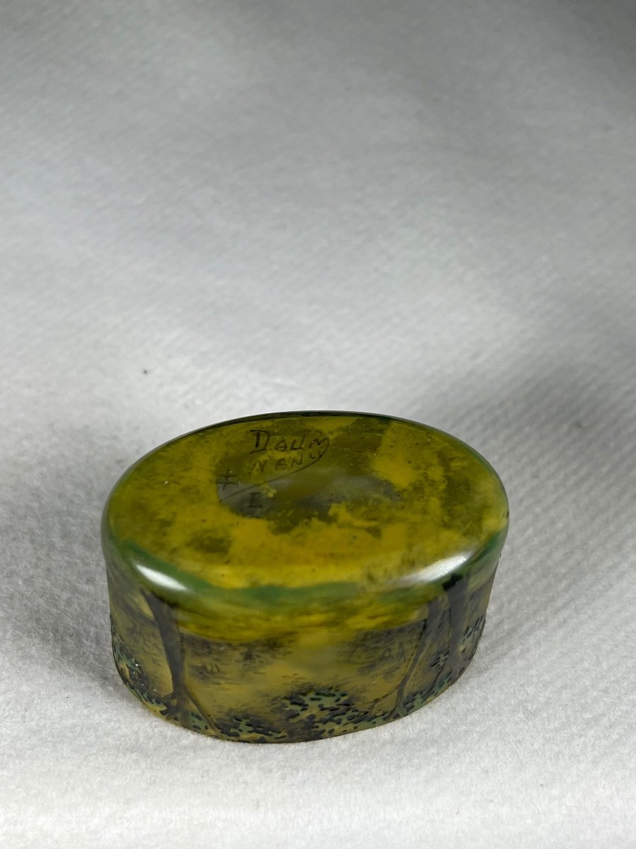 Vase Miniature Daum Nancy (printemps), Art Nouveau-photo-4