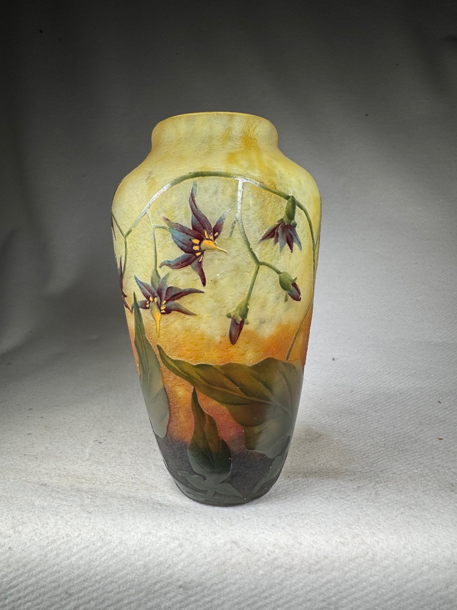 Vase Daum Nancy « Solanées »-photo-1