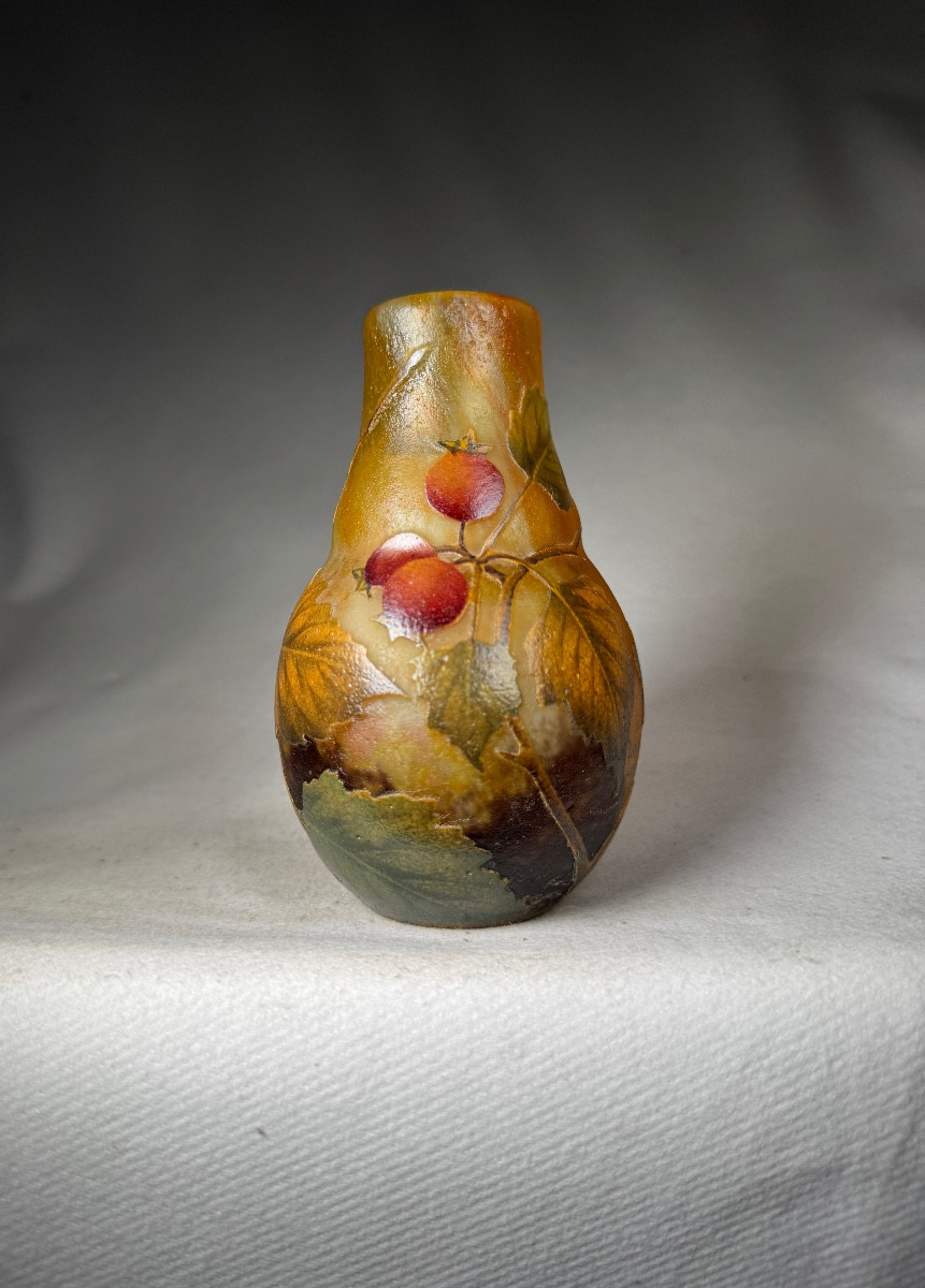 Daum Nancy Vase “berries”
